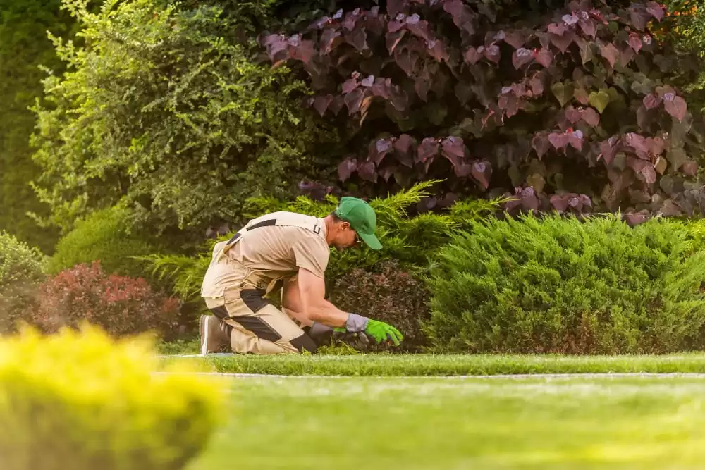 Our Landscaping Projects